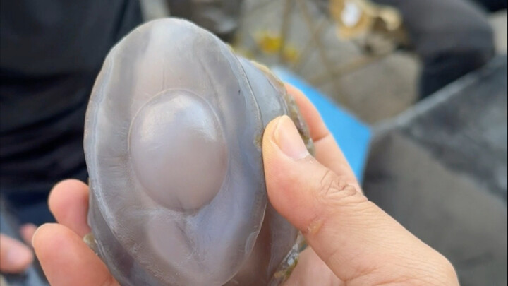 Một giọt nước từ hàng tỷ năm trước