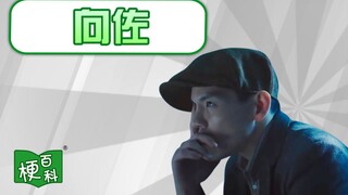 【梗百科】模仿向佐是啥梗？向佐向右向前看？
