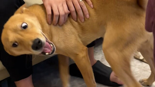 Keep your hands off! I'll do it myself!