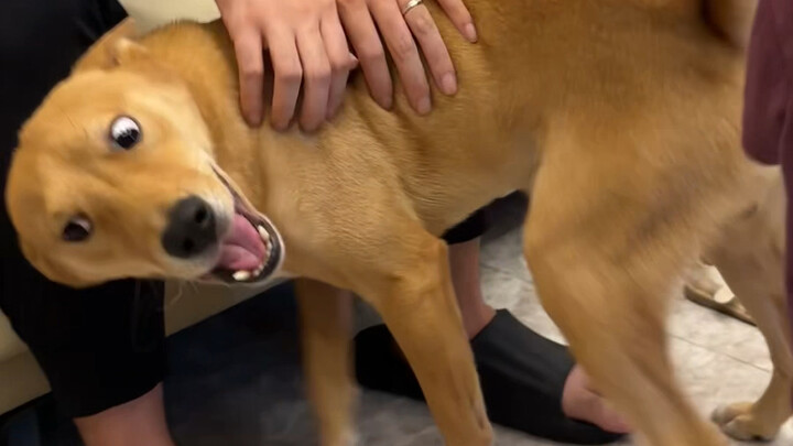 你把手放那！我自己动！