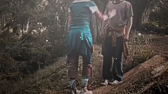 bridge to terabithia