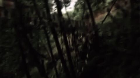 mero para