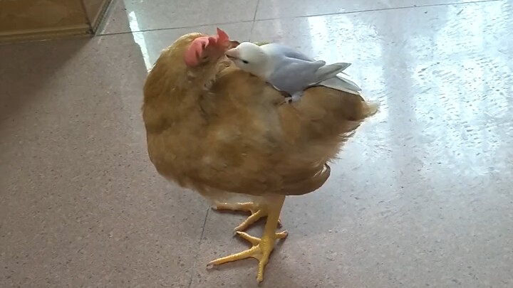 แล้วถ้าคนที่ถูกปรสิตยึดครองคือคุณล่ะ?