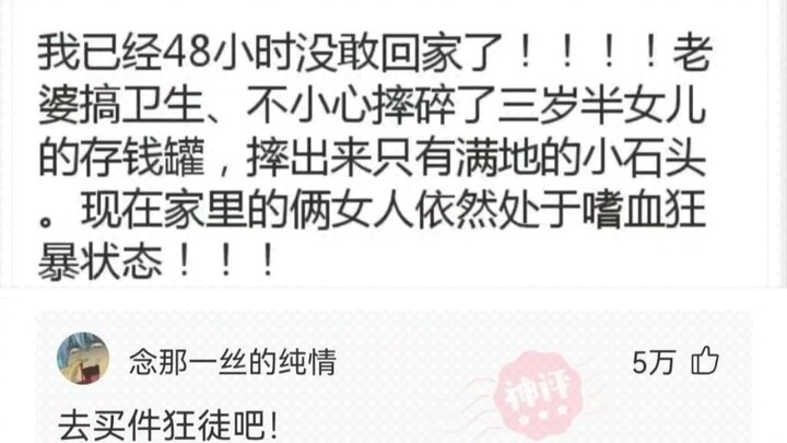 Hilarious Divine Comments