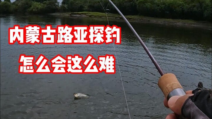 Thám sát câu lure ở Nội Mông, sao mà khó thế nhỉ?