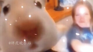 多年功德，毁于一旦