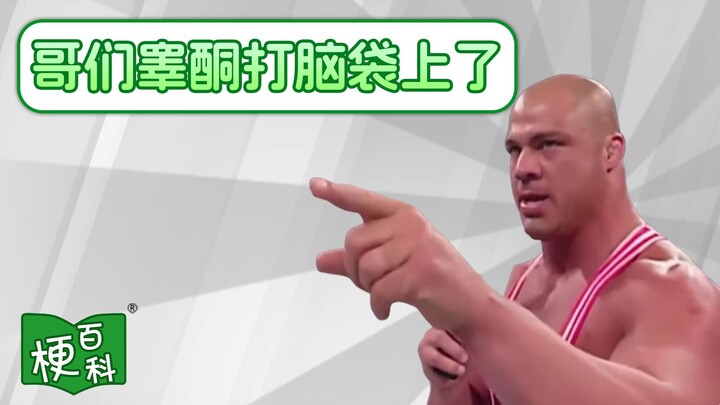 [Internet Slang Encyclopedia] What’s the joke behind “testosterone accidentally hit XX”?