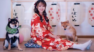 [Dance]Dance Alongside A Shiba Inu|BGM: 東京サマーセッション