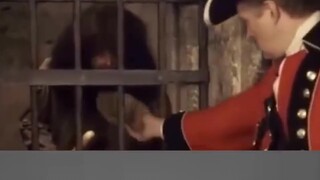 你是在教我做事吗？这下看你吃啥
