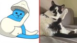😂Cat Meme: New Funny Cats And Dogs👻 Halloween Smurf Cat🎃Trending Funny Animals 2023 😹