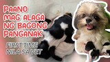 FIRST TIME NILA SA VET | PAANO MAG ALAGA NG MAMA DOG AFTER GIVING BIRTH