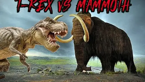 saber tooth tiger vs t rex