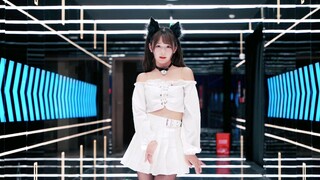 Con mèo trắng nhỏ đang nhảy múa trong trái tim bạn ~ [Bo peep bo peep]