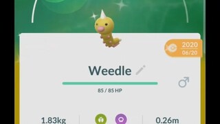 Pokémon GO-Evolving Shiny Weedle