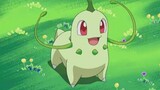 [Elf Pokémon] Pokémon pelit, daun Chrysanthemum memainkan emosinya lagi