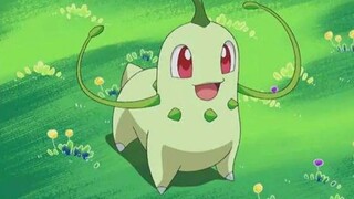 [Pokémon yêu tinh] Pokémon keo kiệt lá cúc lại giở trò đồi bại