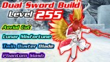 Lv255 Dual Sword Build + Tier 5 Skills | Long Range & Short Range | Toram Online - RealityR