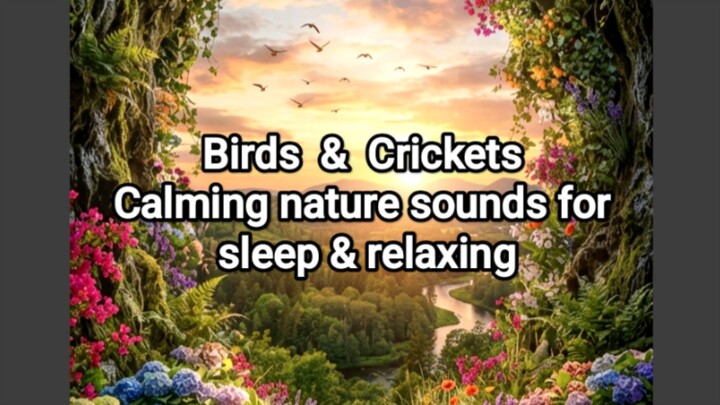 Relaxing music .. Happy weekend with birds & Crickets sounds everyone #cricketssound #naturesounds