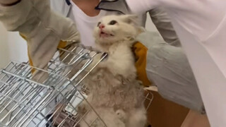 الاختطاف بدلًا من الشراء، التحول من خاطف إلى مطلوب دوليًا