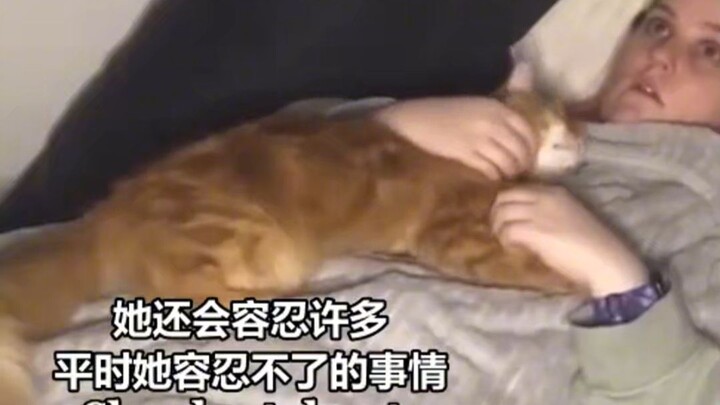 Little kittens actually know everything