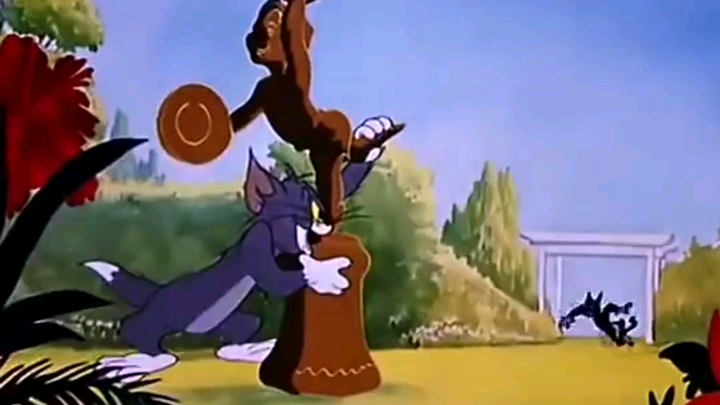 那些来自你没见过的猫和老鼠名场面 |･ω･｀)