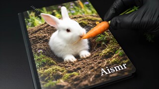 หนังสือเล่มไหนที่คุณอยากจะพกติดตัวไปด้วยเสมอ?