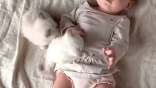 Cute Funny Videos!!