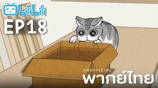 [พากย์ไทย] Ep18 | Nights with a Cat