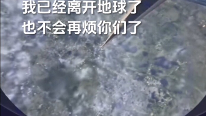 ฉันจะจากไป