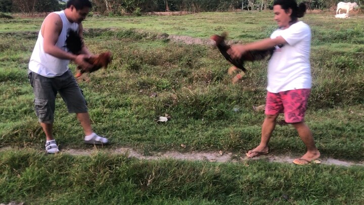 Bruce barnette and 5k sweater sparring