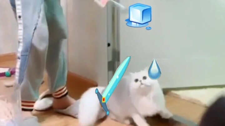 Giả như Pixar bị huấn luyện quân sự [Phiên bản tái thiết]