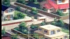 p-man - apa saja selalu p-man