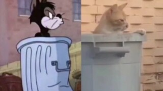 “Ternyata plot di Tom and Jerry semuanya benar.”