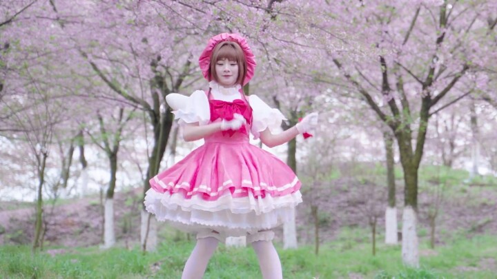 Variety Sakura｜❀ Catch You Catch Me ❀｜Happy Birthday Sakura on April 1~