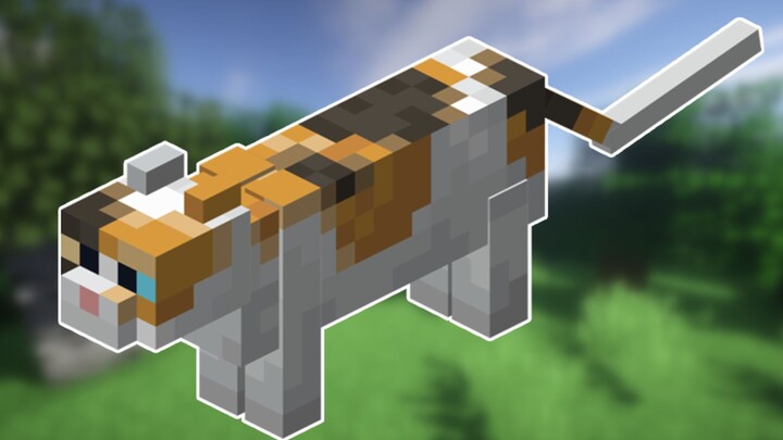 معلومات غريبة عن ماينكرافت: كل ما تحتاج معرفته عن القطط! دورة أساسية لكل لاعب قديم.