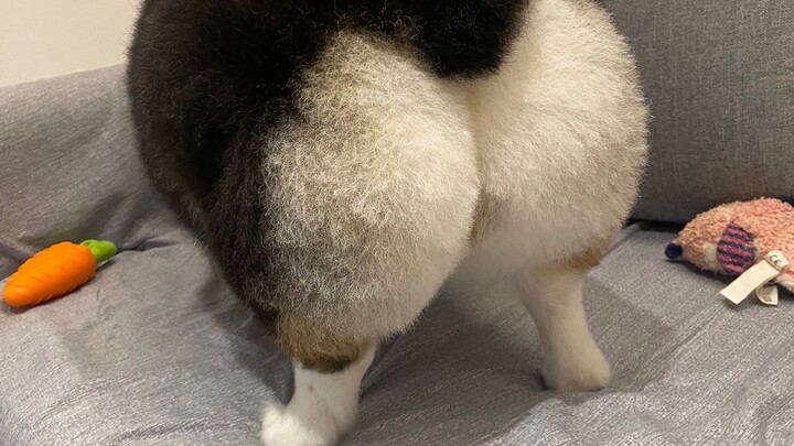 Bokongku—nggak bisa berhenti sama sekali!