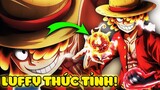 Luffy Tái Sinh Thành Joyboy Và Thức Tỉnh Trái Gomu Gomu? 😱 | One Piece 1043