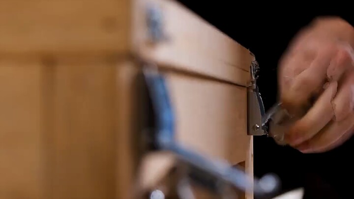 Siapa yang bisa menolak seekor penguin kecil yang suka manja?