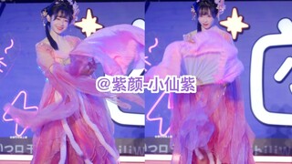 BW2025UP主舞台：紫颜-小仙紫直拍！