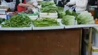 mini drama Korea