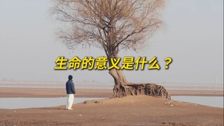 生命的意义是什么？