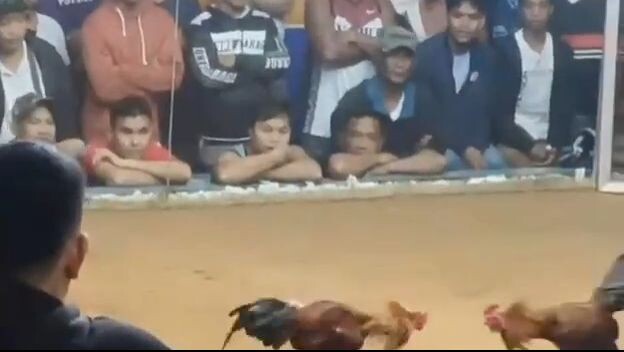 Dirtyfeet Hatch 3/3 brothers