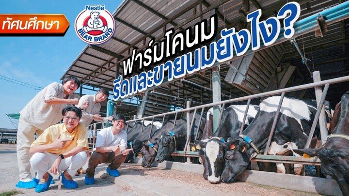 ทัศนศึกษาฟาร์มโคนมตราหมี🐄