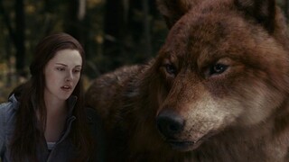 A human girl falls in love with a werewolf and a vampire at the same time. This Mary Sue plot shatte