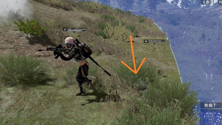 Old Liu’s Masterpiece 24