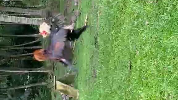 this is my hobby,,🥰🥰