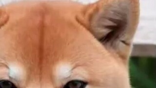 If the subordinates of the Four Emperors raped the Celestial Dragons, and the World Government deman