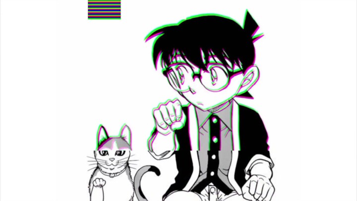 kucing dan Conan 🔍🐾