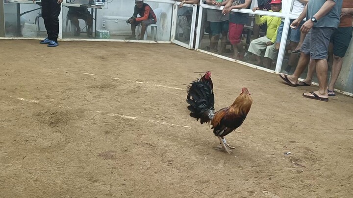 huli na nmn si buang