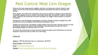 Pest Control West Linn Oregon